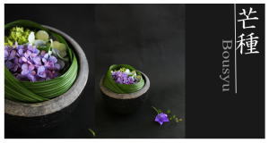 Plants: image 2 0f 6 thumb