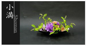 Plants: image 1 0f 6 thumb