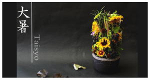 Plants: image 5 0f 6 thumb