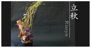 Plants: image 6 0f 6 thumb