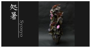 Plants: image 7 0f 6 thumb