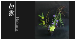 Plants: image 8 0f 6 thumb