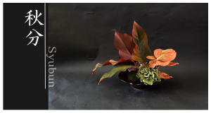 Plants: image 9 0f 6 thumb