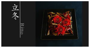 Plants: image 12 0f 6 thumb