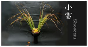 Plants: image 13 0f 6 thumb