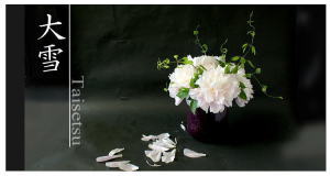 Plants: image 14 0f 6 thumb