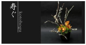 Plants: image 14 0f 6 thumb