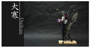 Plants: image 14 0f 6 thumb