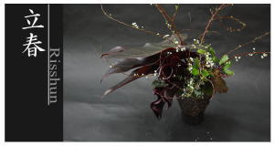 Plants: image 14 0f 6 thumb