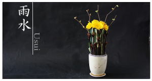 Plants: image 14 0f 6 thumb