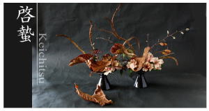 Plants: image 14 0f 6 thumb