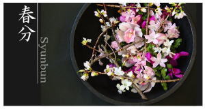 Plants: image 14 0f 6 thumb