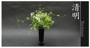 Plants: image 14 0f 6 thumb