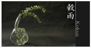 Plants: image 14 0f 6 thumb