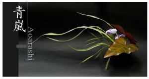 Plants: image 1 0f 6 thumb