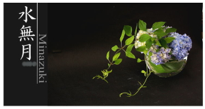 Plants: image 2 0f 6 thumb