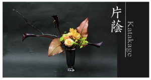 Plants: image 3 0f 6 thumb