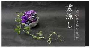 Plants: image 4 0f 6 thumb