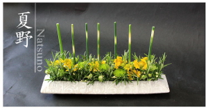 Plants: image 5 0f 6 thumb