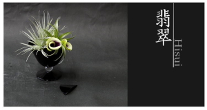 Plants: image 6 0f 6 thumb