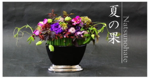 Plants: image 7 0f 6 thumb