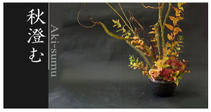 Plants: image 11 0f 6 thumb