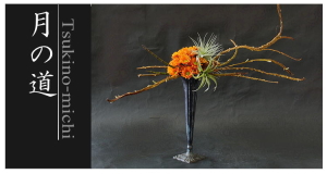 Plants: image 12 0f 6 thumb