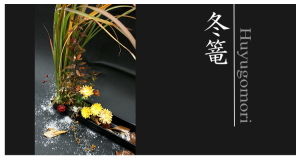 Plants: image 14 0f 6 thumb