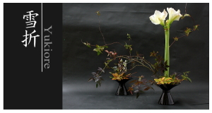 Plants: image 14 0f 6 thumb