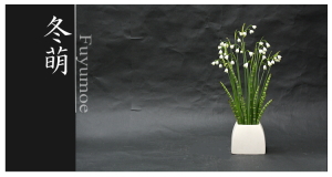 Plants: image 14 0f 6 thumb