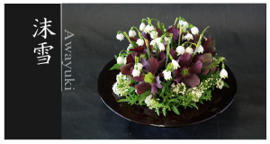 Plants: image 14 0f 6 thumb