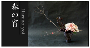 Plants: image 14 0f 6 thumb