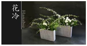 Plants: image 14 0f 6 thumb