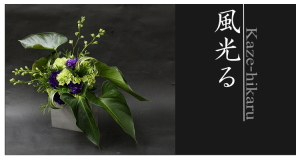 Plants: image 14 0f 6 thumb