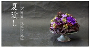 Plants: image 14 0f 6 thumb