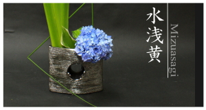 Plants: image 14 0f 6 thumb