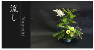 Plants: image 1 0f 6 thumb