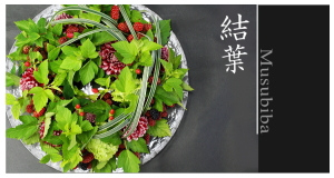 Plants: image 2 0f 6 thumb