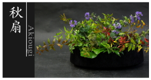 Plants: image 6 0f 6 thumb