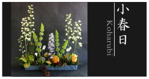 Plants: image 9 0f 6 thumb