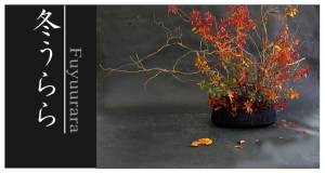 Plants: image 10 0f 6 thumb