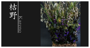 Plants: image 11 0f 6 thumb