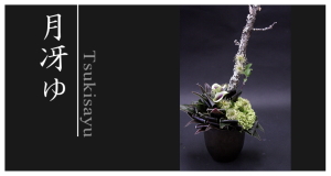 Plants: image 14 0f 6 thumb