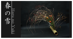 Plants: image 14 0f 6 thumb