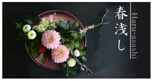 Plants: image 14 0f 6 thumb