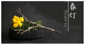 Plants: image 14 0f 6 thumb