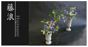 Plants: image 14 0f 6 thumb