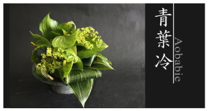 Plants: image 14 0f 6 thumb