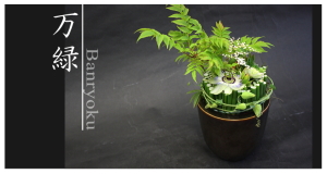 Plants: image 14 0f 6 thumb