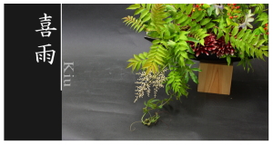 Plants: image 2 0f 6 thumb